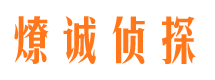 子洲市场调查